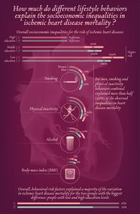 Unhealthy behaviors contribute to more coronary artery disease deaths in the poor