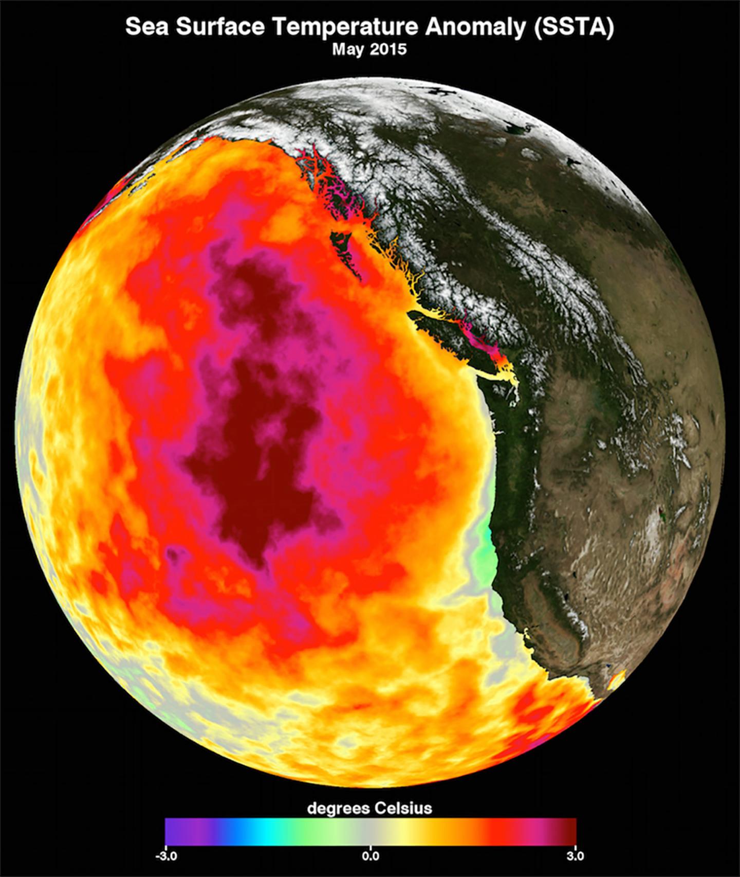 Monthly Average Sea Surface Temperature for May 2015