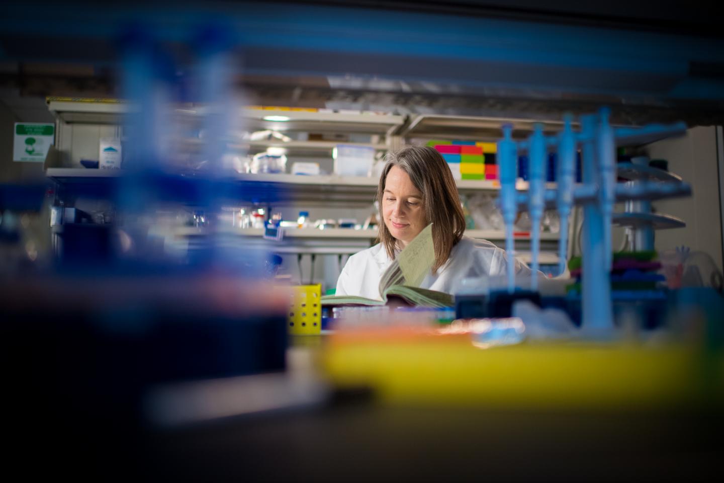 Lindsay Schwarz, Ph.D., In the Lab