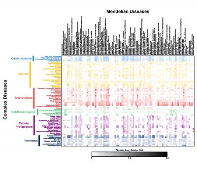 A genetic map of complex and Mendelian diseases