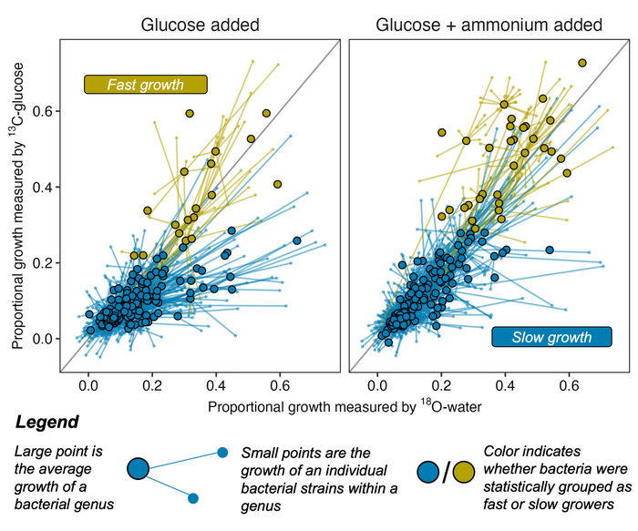 Proportional growth of soil bacteria over 7 days