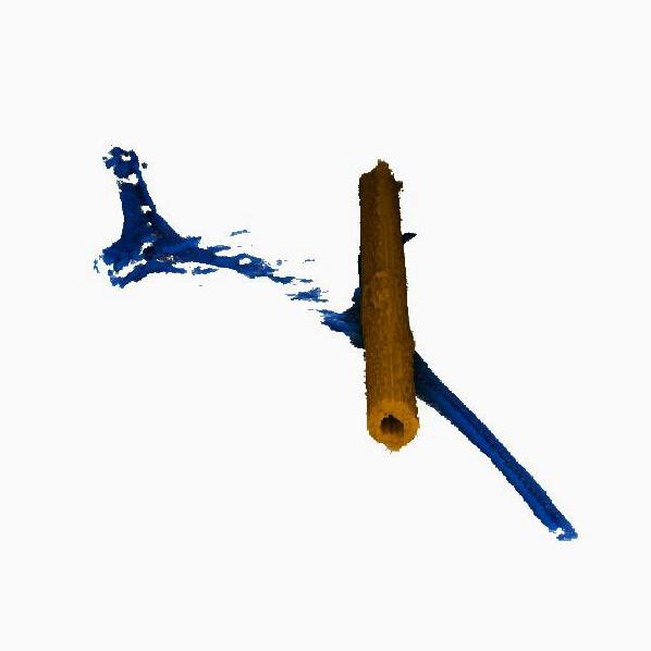 3-D Electron Tomogram