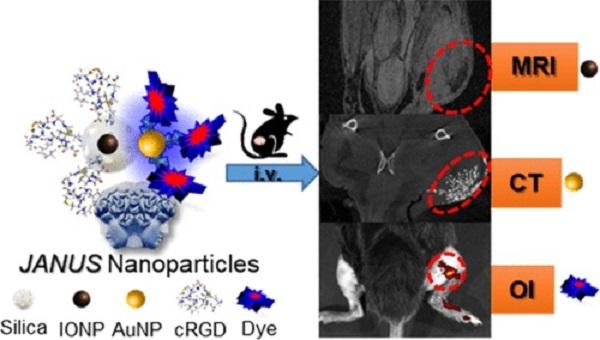 Composition and Application of the JANUS Nanoplatform