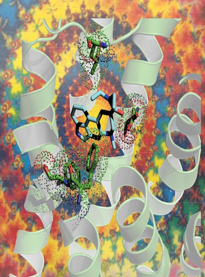 LSD Structure and Receptor