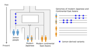 Dual ancestry