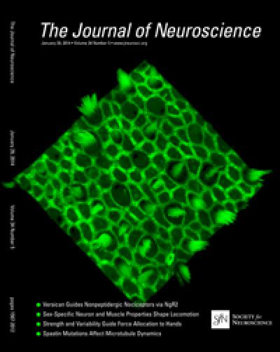 <em>Journal of Neuroscience</em>