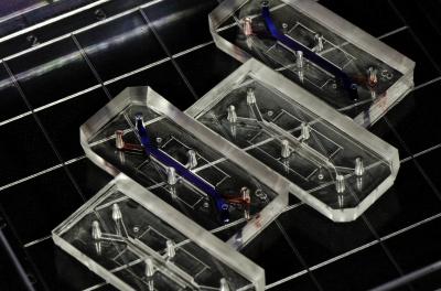 Organs-on-Chips