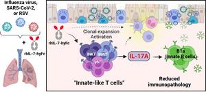 Mechanism of antiviral action by the rhIL-7-hyFc recombinant protein