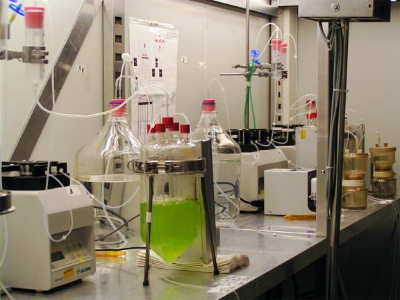 Experimental set-up at the University of Potsdam, Germany