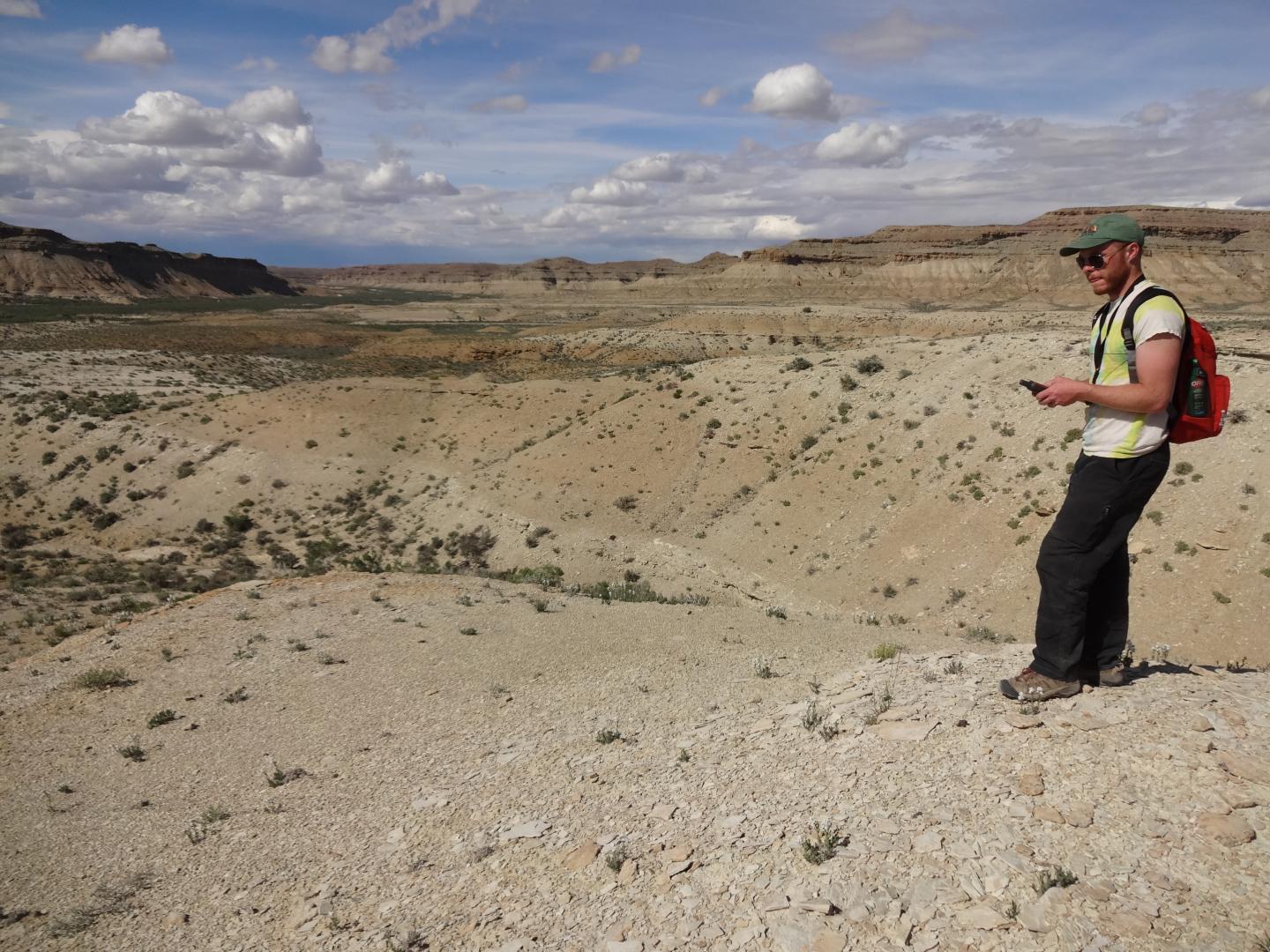 GPS for Shrubby Reed-Mustard