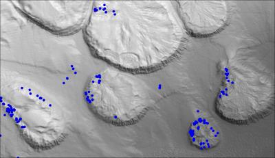 A Perspective of the Seafloor Showing Preliminary Results of Gas Seeps Detected by Multibeam Sonar