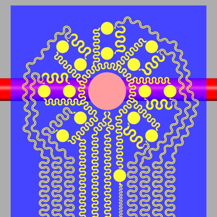 Wearable, Ultra-thin Film Maps Blood Flow Underneath Skin (5 of 7)