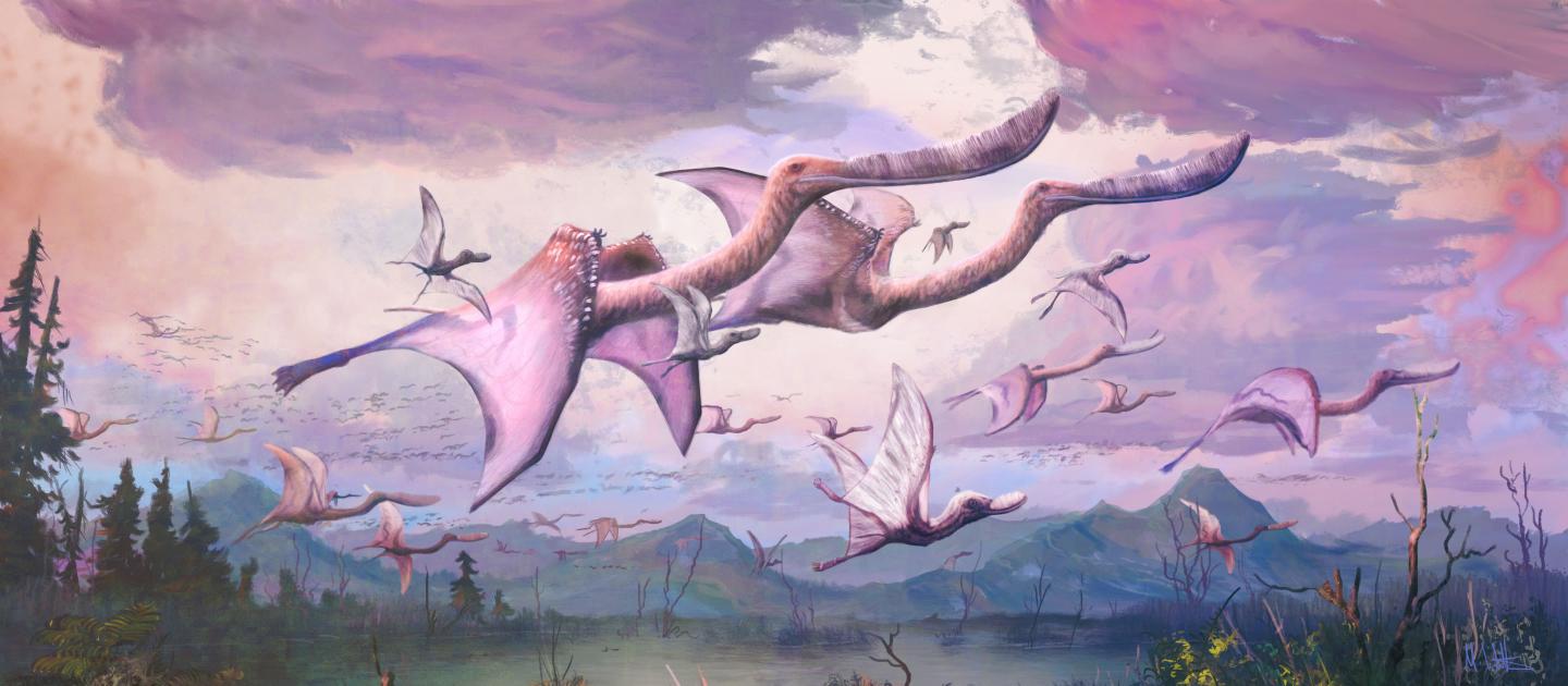 Pterodaustro guinazui