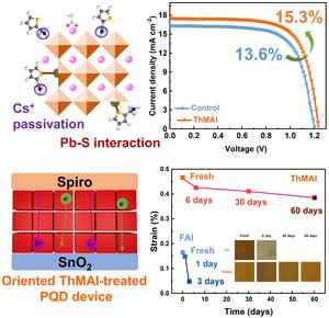 A schematic diagram of bilateral ligand bonding on the surface of perovskite quantum dots