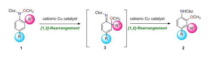 Efficient Synthesis of Multi-substituted Anilines by Domino Rearrangement