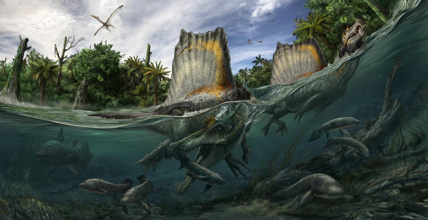 The Wealth of Aquatic Life