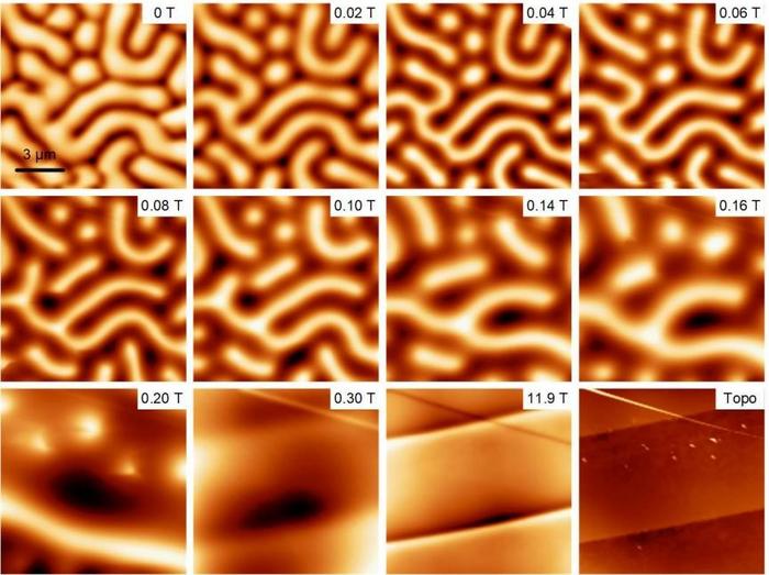 Glovebox-Assisted Magnetic Force Microscope Offers Easier Image of Air-Sensitive Samples