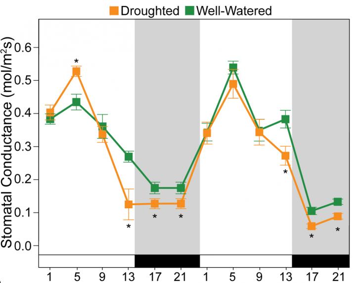 Paper Figure Illustration