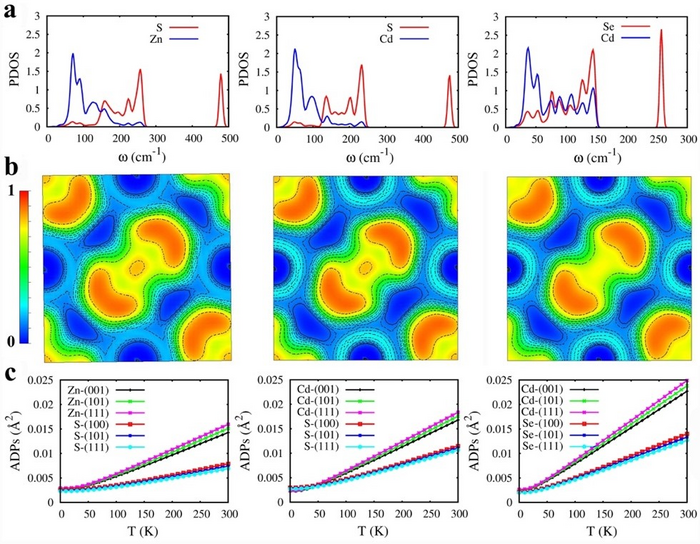 Chemical Trends in the High Thermoelectric Performance Proved in Pyrite-type Dichalcogenides