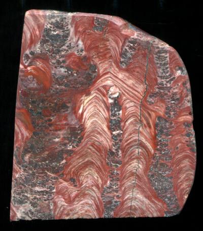 Ferruginous Stromatolites