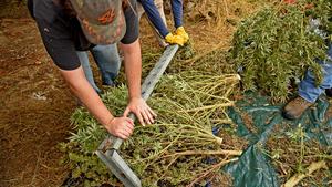 Commercial Stock Photos of Farmworkers Found Lacking