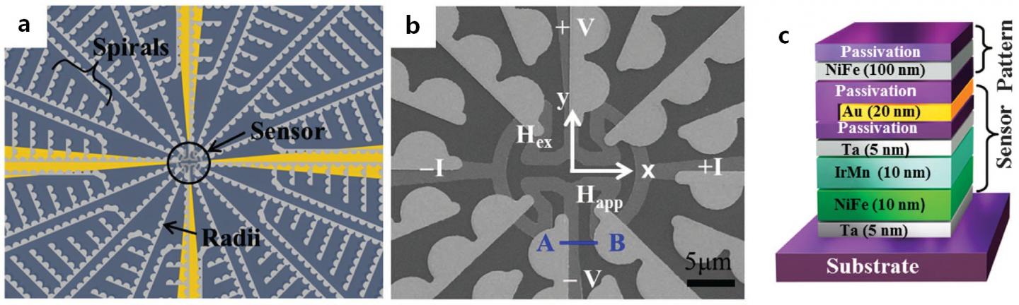 Biosensor using Magnetophoretic Spider Web