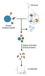 How the process works