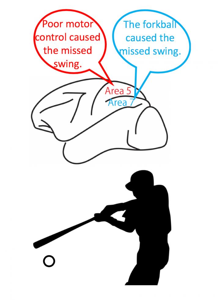 Missed Swing