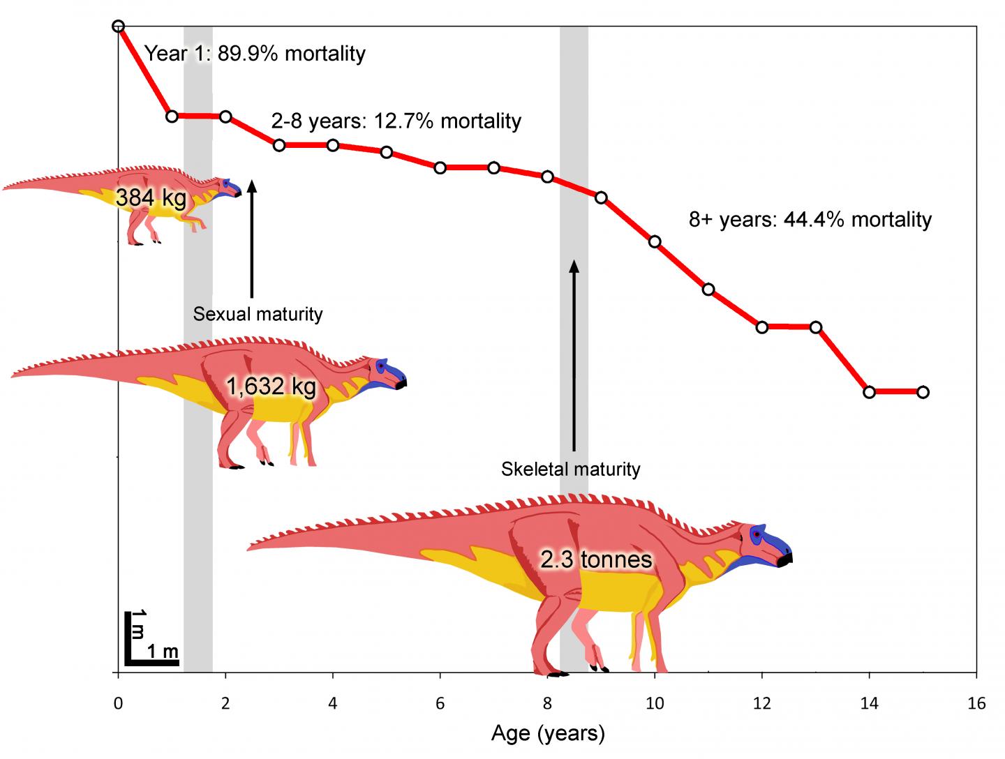 Maiasaura Lifecycle