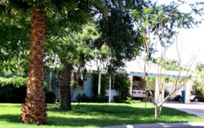 Photo of a Non-native Grass Lawn in Phoenix with a House, Garage and Cars in the Background