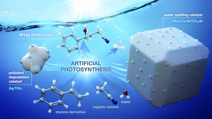 Degradation catalysts were transformed into dual catalysts for artificial photosynthesis