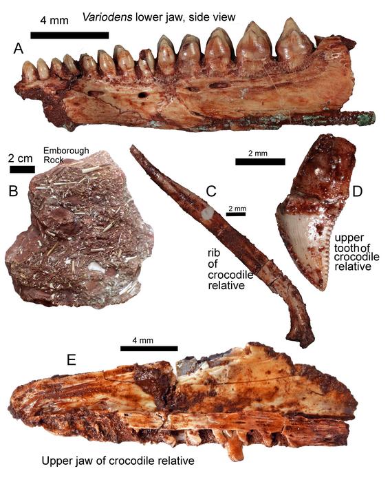 Fig 2