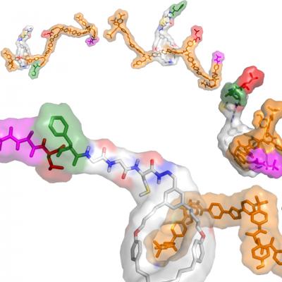 Peptides From a Robotic Ribosome? (4 of 6)