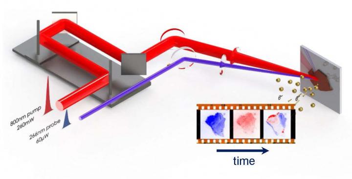 フェムト秒分光法ユニット実験装置のセットアップ図