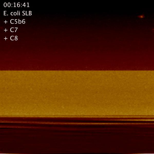 Hole-Forming Nanomachines