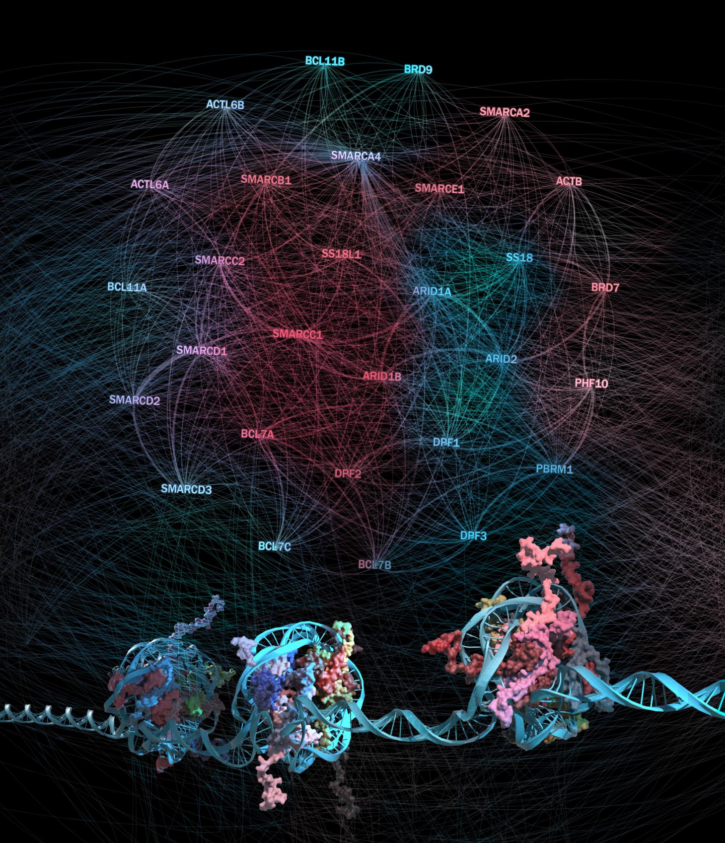 Ilustration -- Schick et al. <i>Nature Genetics</i> 2019