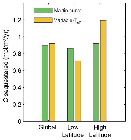 Carbon Storage