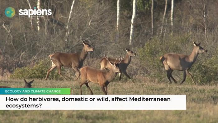 Wild and Domestic Ungulates: Key to Mediterra | EurekAlert!