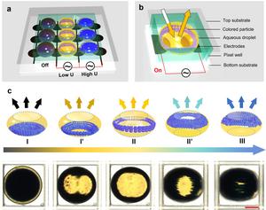 Schematic and experimental results of the electro-microfluidic assembly of particles display (eMAPD).