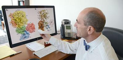 Enrico Di Cera, Saint Louis University