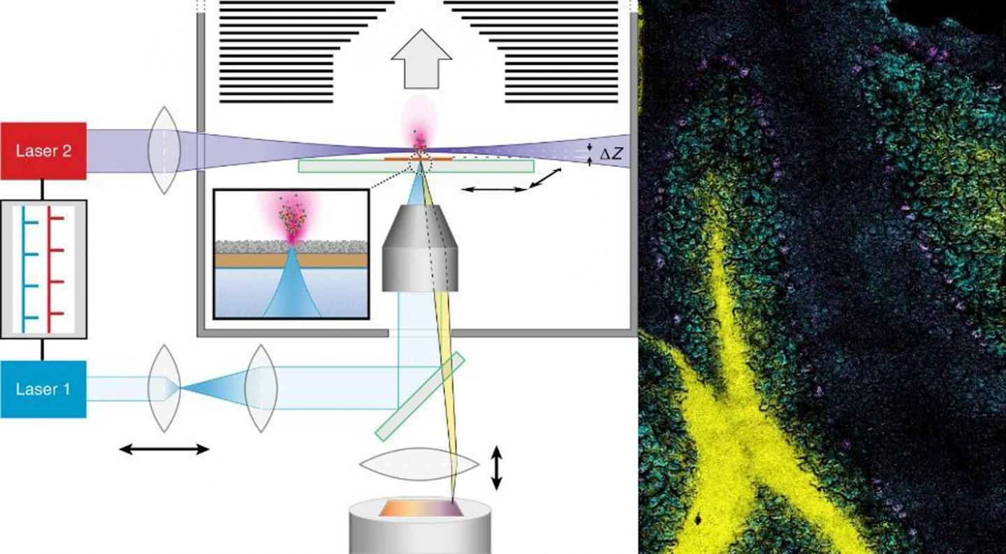 t-MALDI-2-MS Imaging Method