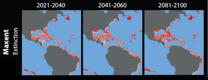 Extinction projections