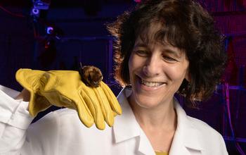 Cynthia Moss, Johns Hopkins University