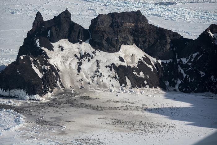 Aerial photo of emperor penguins