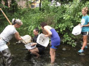 Middle and high school teachers learning about aquatic ecosystems