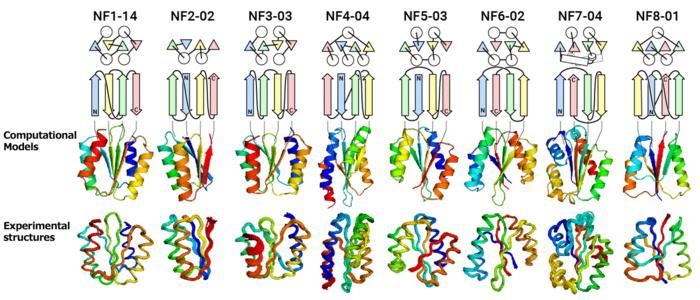 Figure. Designed novel fold proteins.