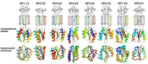 Figure. Designed novel fold proteins.