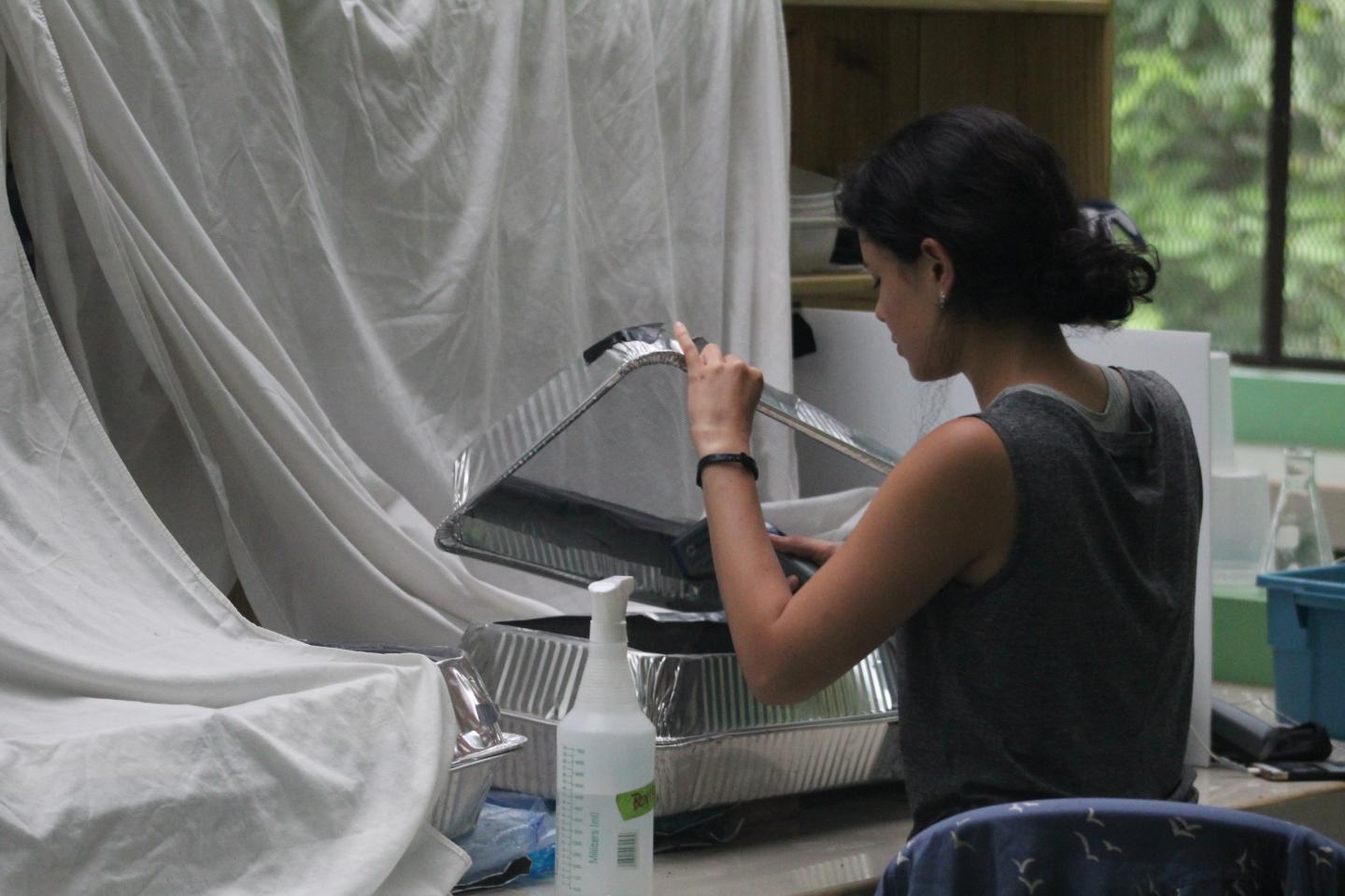 Juana Rivera-Ordonez in the Lab