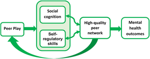 Schematic diagram showing how peer play may influence  mental health.