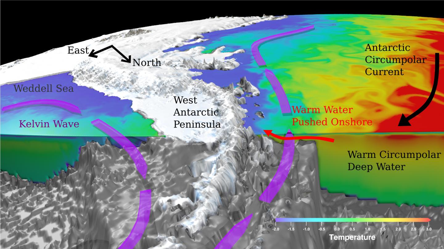 Path of Kelvin Waves around West Antarctica Peninsula